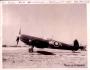 Spitfire Mk IX of 40 Squadron