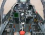 Cheetah E 842 cockpit.