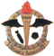 34 Squadron Badge 1/72